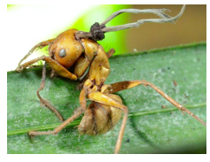 Screen shot 2013-10-30 at 1.45.10 PM