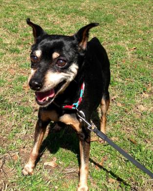 16722505_10100714193158675_1469869872725083082_o